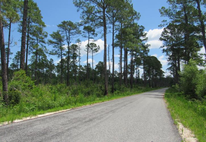 Dunns Creek State Park Florida State Parks